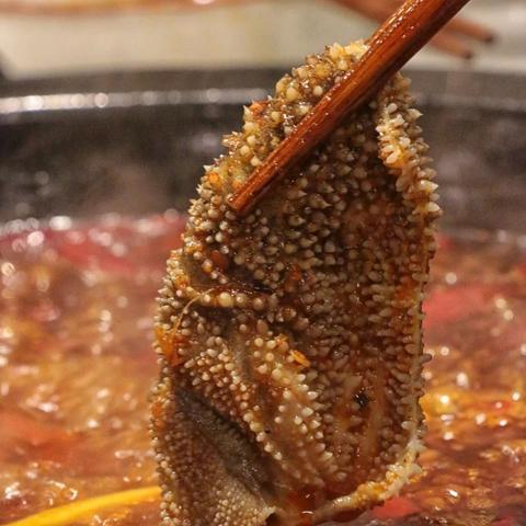 成都市烫火锅哪里好吃点的长尾关键词有什么