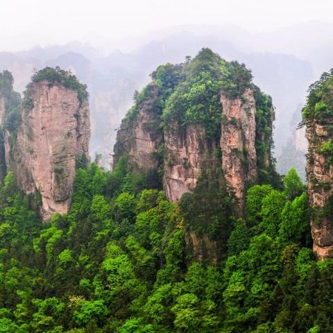 韶山和长沙市哪个好