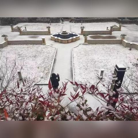 云南曲靖是什么气候