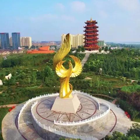 临沂市化武路属于哪个区