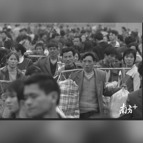 怎么落户东莞市户口