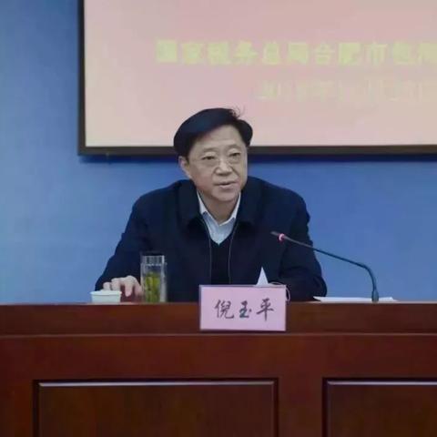 合肥市哪个区税务局好考