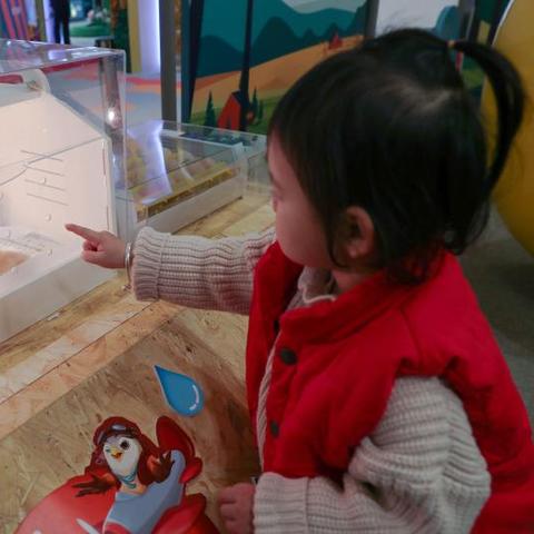 上海有哪些鸟类医院好点