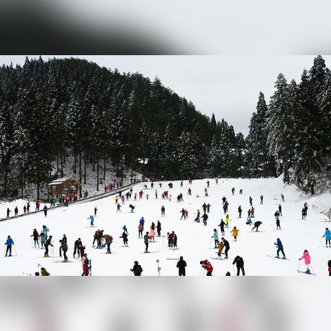 摩托车怎么去温州市