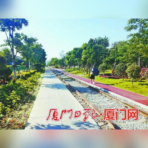 厦门市自贸区怎么样