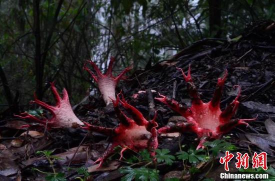 站长有什么好听的称呼太子洗马是个怎么样的职务