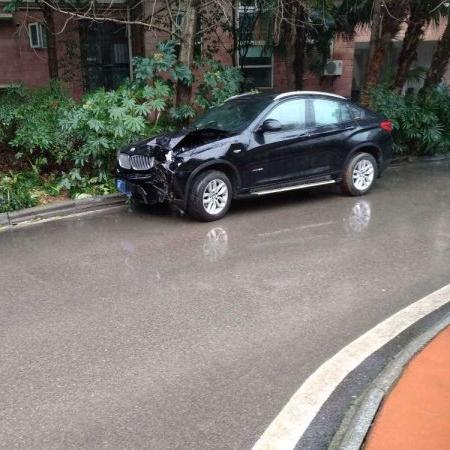 长沙市内的大树叫什么树