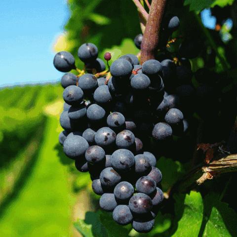 昆明市小吃架子制作店在哪里