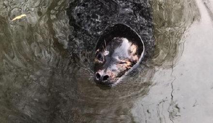 济南的风水_济南人气最旺的泉城路逛吃圈内