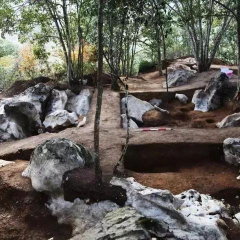 福建浦城市属于哪个市？