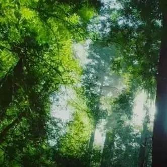 2025.12.21温州今天空气质量指数怎么样