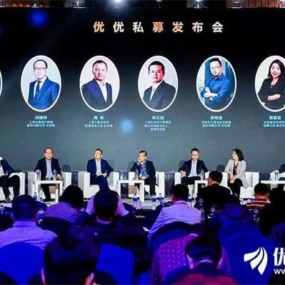 深圳市优优金融怎么样