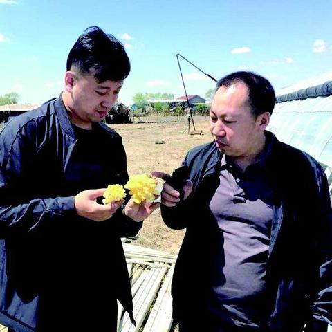 梅河口-沈阳的火车时刻相关长尾关键词有哪些