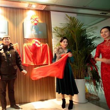 深圳市石头电气怎么样