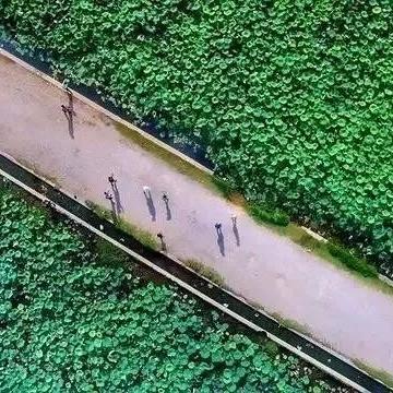 桂林的西湖在哪儿啊相关长尾关键词有哪些