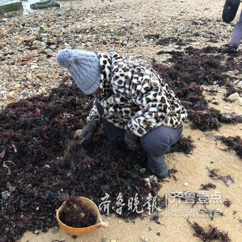 济南牛基食品相关长尾关键词有哪些