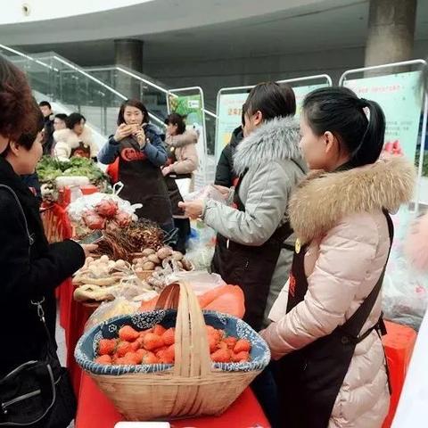 合肥市创业学校怎么样报名