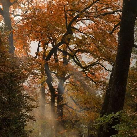 温州市买手机去哪里好