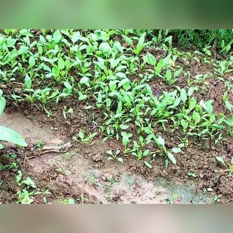 哈尔滨滨水大道相关长尾关键词有哪些
