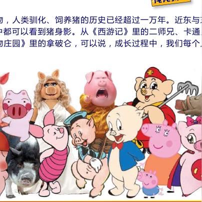 怎么知道自己命理属性_怎么看自己命里属什么(怎么看自己命里属什么五行)