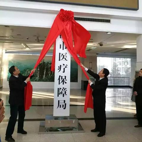临沂市生育险怎么报