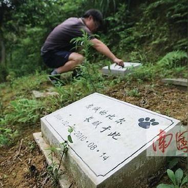 南宁市哪个小区排名最好