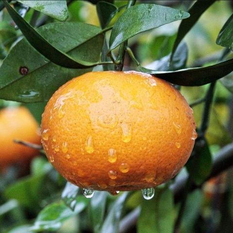 南宁市到武鸣怎么走