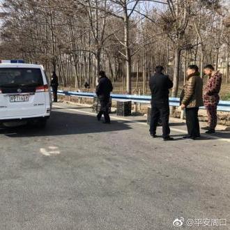 周口市哪里卖鹅