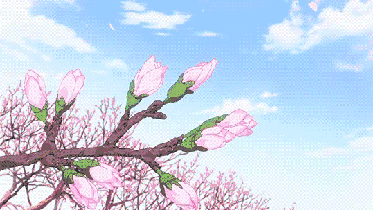 2019日本樱花季首次预测！大众冷门赏樱地重磅推荐