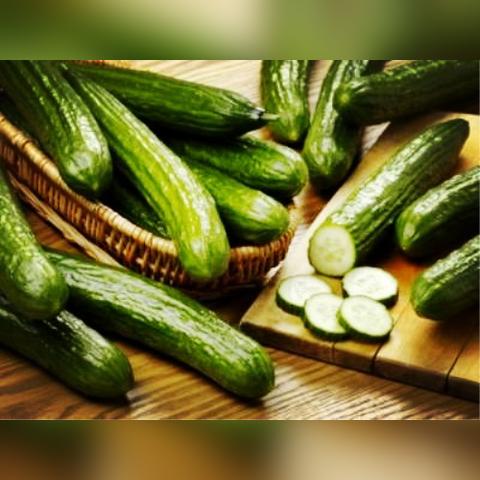 济南到宁阳汽车相关长尾关键词有哪些