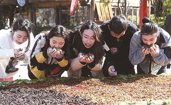 蚕蛹蜈蚣叫什么美食（你会提报家乡端午节的什么特色民俗）