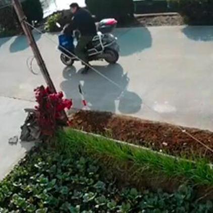 南通市哪里报考保安证