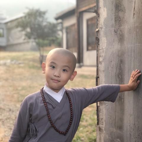 少林小子 电影的长尾关键词有哪些