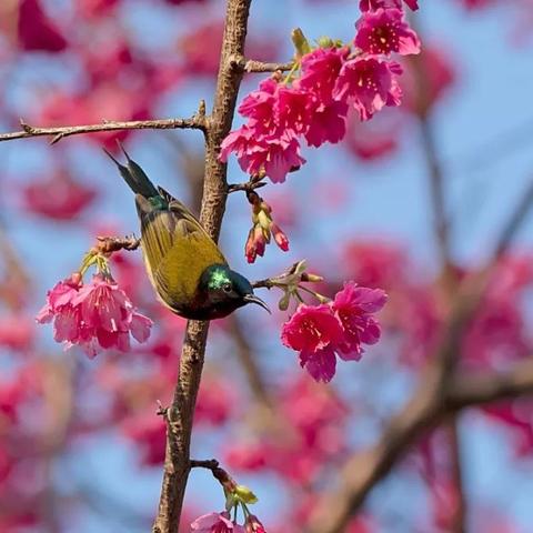 福建哪个季节最好