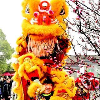 武汉市哪个地方有偿梅花