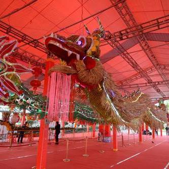 广州龙鱼批发市场在哪相关长尾关键词有哪些