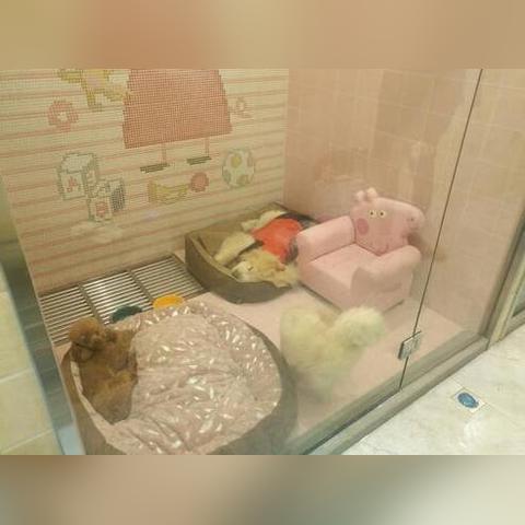 王小姐服装搭配温州市的长尾关键词有哪些