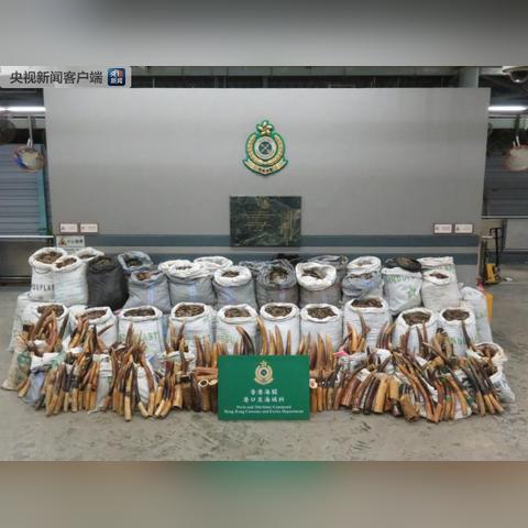 冻品怎么发快递到香港？