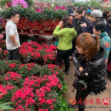 济南市哪里买花便宜点的