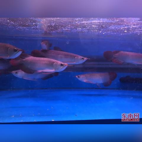 厦门教资认定体检费用一般多少？