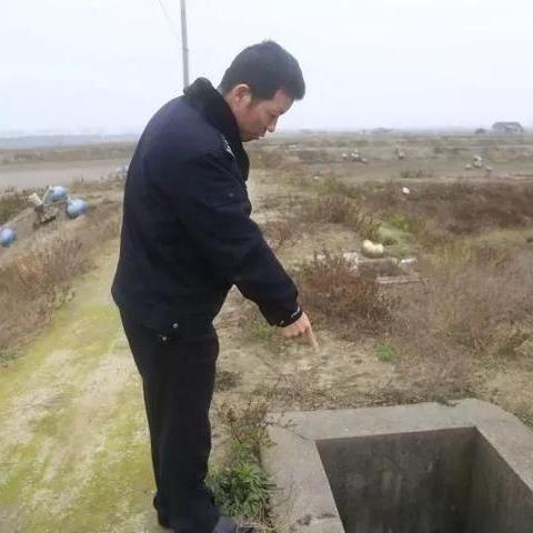 杭州市沥海镇是哪个区的