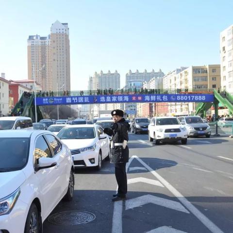 哈尔滨环境最好的是哪个区？