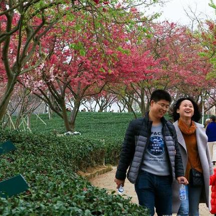 新华网福建 招聘的相关长尾关键词有哪些