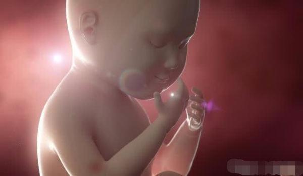 受精卵只有3成多的几率成为胎儿