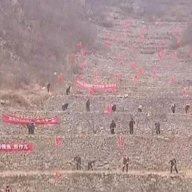 邯郸市小区换新颜电梯的长尾关键词有哪些