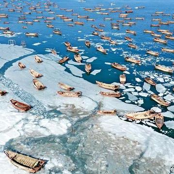 大连哪里卖裙带菜的相关长尾关键词有哪些