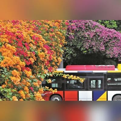 广州市广源路是什么区的