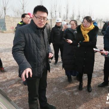 天津张家窝的学校怎么样