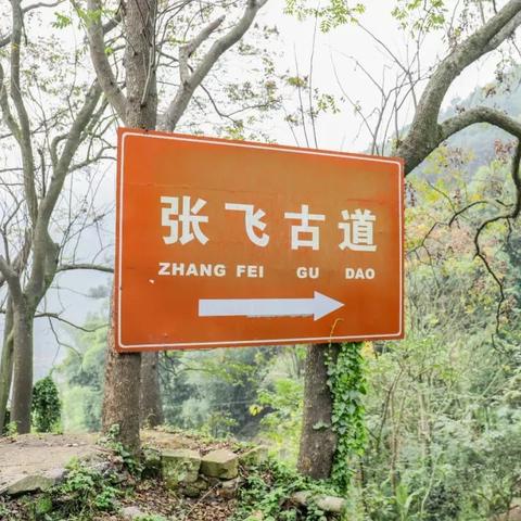 重庆气温假的的长尾关键词有什么