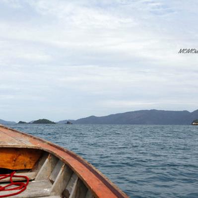 爱我别躲免费阅读答案的长尾关键词有什么